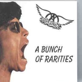 Aerosmith - A Bunch Of Rarities (Get a Grip non album Tracks , Live w/ Guns And Roses '92 , W/ Jimmy Page 1992 & More ) front cover