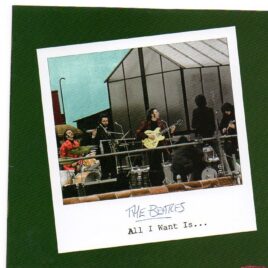 The Beatles - All I Want Is ... ( Masterjedi ) front cover