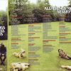 George Harrison - All Thing Must Pass Sessions  ( 6 CD With Slipcase ) ( Misterclaudel )