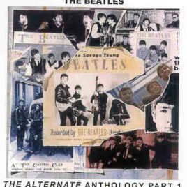 The Beatles - The Alternate Anthology Vol 1 ( 2 CD!!!!! set ) ( PEAR )