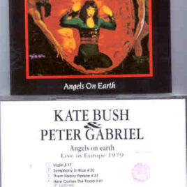 Kate Bush - Angels On Earth ( Swingin' Pig )( P. Gabriel & Kate Bush ) ( Europe 1979 )