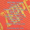 Led Zeppelin - Another Trip Vol. 5 ( Big Music ) ( Unreleased material 1979 - 1980 )