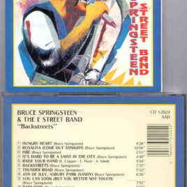 Bruce Springsteen - Backstreets ( On Stage ) ( LIVE USA not LA )