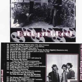 The Beatles - Backyard Reel ( 2011 Extract Factory )