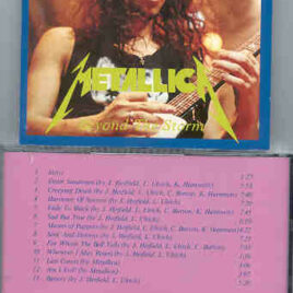 Metallica - Beyond The Storm ( Dortmund , September 1991 )
