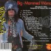 Aerosmith - Big Mammed Woman ( Saugerties , NY , USA , August 13th , 1994 )