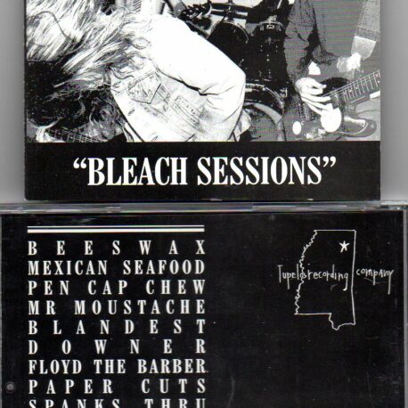 Nirvana - Bleach Sessions ( Recorded in Seattle at Reciprocal Recording by Jack Endino )