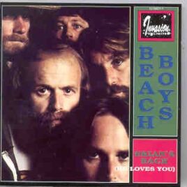 The Beach Boys - Brian's Back ( He Loves You ) front cover