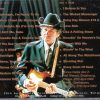 Bob Dylan - Brussels 2002 ( 2 CD set ) ( Forest National , Brussels , Belgium , Sunday April 28th , 2002 )
