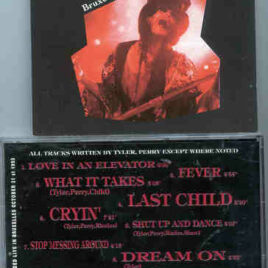 Aerosmith - Bruxelles 1993 ( Recorded Live in Bruxelles , Belgium , October 31st , 1993 )