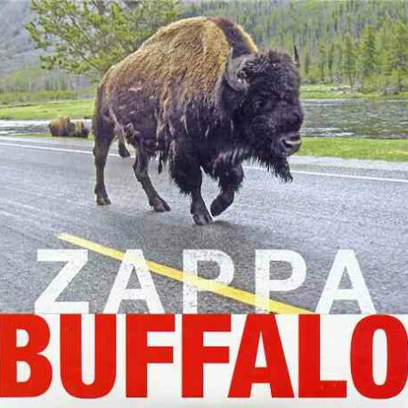 Frank Zappa - Buffalo ( 2 CD ) ( Memorial Auditorium , Buffalo , NY , USA , October 25th , 1980 )