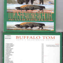 Buffalo - Lupo's Heartbreak Hotel ( March 3rd , 1994 at Lupo's Heartbreak Hotel )  ( Triangle )