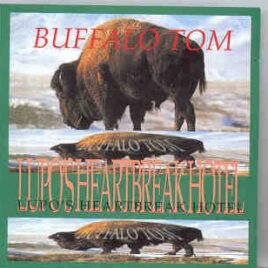 Buffalo - Lupo's Heartbreak Hotel ( March 3rd , 1994 at Lupo's Heartbreak Hotel )  ( Triangle ) front cover