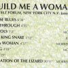 The Doors - Build Me A Woman  ( Great Dane Recs ) ( New York , January 7th , 1970 )