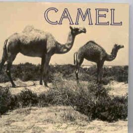 Camel - Famous Rock Dreams ( Swingin' Pig ) ( Live In Europe 1973-1975  ) front cover