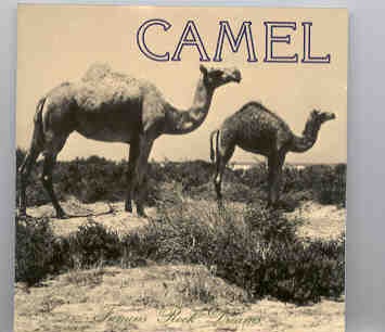 Camel – Famous Rock Dreams ( Swingin’ Pig ) ( Live In Europe 1973-1975 ) front cover Camel - Famous Rock Dreams ( Swingin' Pig ) ( Live In Europe 1973-1975 ) front cover