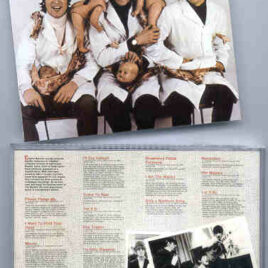 The Beatles - Casualties ( Roaring Mouse )