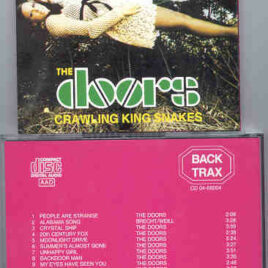 The Doors - Crawling King Snakes ( Back Trax )