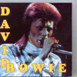 David Bowie - David Bowie LIVE !  ( DV More Record ) front cover