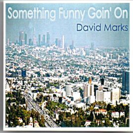 David Marks - Something Funny Goin' On front cover