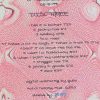 Grateful Dead - Dead at The Bay  3 ( Shoreline , August 18th , 1991 ) ( Part One ) ( KTS )