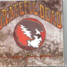 Grateful Dead - Dead Play Dylan ( Dylan Songs Play by Grateful Dead Live From 1987 to 1992 ) front cover