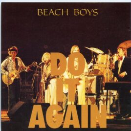 The Beach Boys - Do It Again ( Live at Syracuse University , New York , USA , May 1st , 1971 ) ( Triangle ) front cover