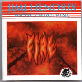 Jimi Hendrix - Electric Church Music ( Black Panther ) front cover