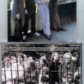 The Beatles - Essential White ( Quarter Apple )