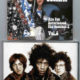 Jimi Hendrix - Experience The Sessions Vol. 2 ( STTP )( Are You Experienced ? recording sessions )