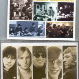 Neil Young / CSNY - Falling Bluebird ( Buffalo Springfield live in Dallas & LA , USA 1967 - 1968 )