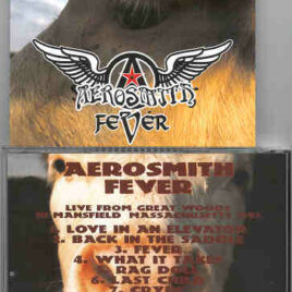 Aerosmith - Fever Live ( Great Stereo Soundboard from Massachusetts 1993 )