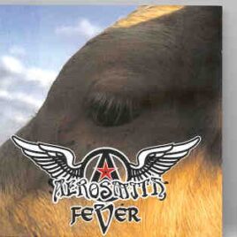Aerosmith - Fever Live ( Great Stereo Soundboard from Massachusetts 1993 ) front cover