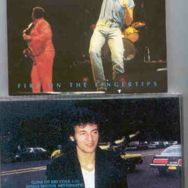 Bruce Springsteen - Fire On The Fingertips ( Chapter One ) ( Demos 1972 - 1`973 )