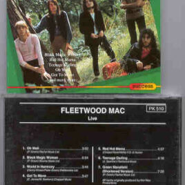 Lindsey Buckingham Fleetwood Mac - Live 