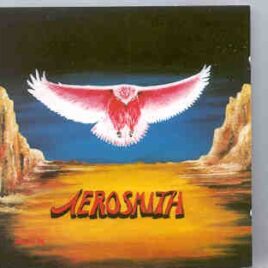 Aerosmith - Flight Of The Owl ( Flashback ) ( Live Soundboard , Spring 1990 ) front cover