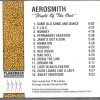 Aerosmith - Flight Of The Owl ( Flashback ) ( Live Soundboard , Spring 1990 )