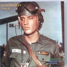 Elvis Presley - Fried Bananas , Ice Cream And Gatorade front cover