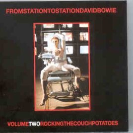David Bowie - From The Station Vol 2 front cover