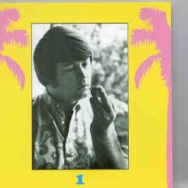 The Beach Boys - Goodbye Surfing , Hello God - Disc 1     ( Vigotone ) front cover