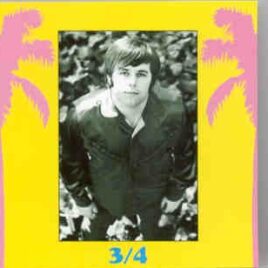 The Beach Boys - Goodbye Surfing , Hello God - Disc 3/4  ( Vigotone ) front cover