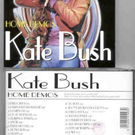 Kate Bush - Homes Demos ( Swingin' Pig )