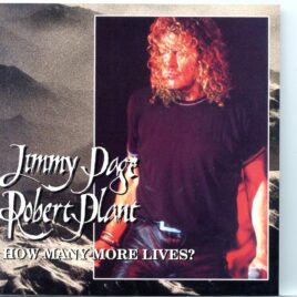 Led Zeppelin - How Many More Lives ? ( 2 CD SET ) ( Page & Plant at Great Woods , Massachusetts , USA , July 14th , 1998 ) front cover