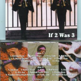 Jimi Hendrix - If 2 Were 3 ( 2 CD SET ) ( Soundboard From Paris , Copenhagen &Canada , 1968 ) ( STTP ) Picture