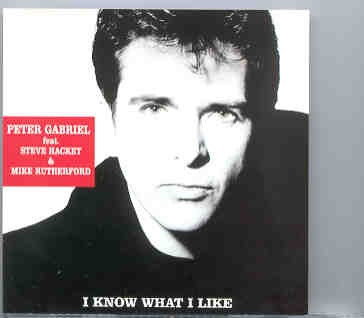 P. Gabriel / GENESIS / P. Collins – I Know What I Like ( Peter Gabriel ) ( Giants Stadium , 1986 ) front cover P. Gabriel / GENESIS / P. Collins - I Know What I Like ( Peter Gabriel ) ( Giants Stadium , 1986 ) front cover