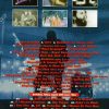 DVD The Beatles - Japanese TV Special 1980 (1 DVD) Broadcast Date: 7th February 1980