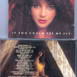 Kate Bush - If You Could See Me Fly ( Home Demos 1974) ( Chapter One Recs )