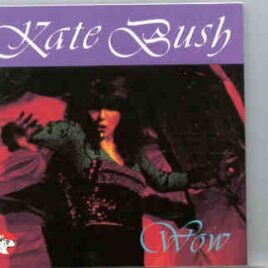 Kate Bush - Wow !  ( Live in Amsterdam , April 29th , 1979 )( Great Dane Recs ) front cover