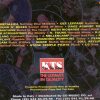 Various Artists - K.T.S. ( Kiss The Stone ) Promo One  ( KTS )