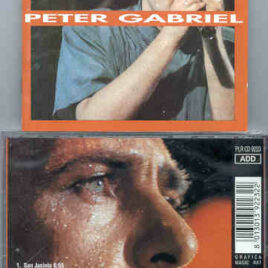 P. Gabriel  /  GENESIS  /  P. Collins - Lay Your Hands On Me ( Peter Gabriel Live in USA , March 23rd , 1988 ) ( Great Dane )  